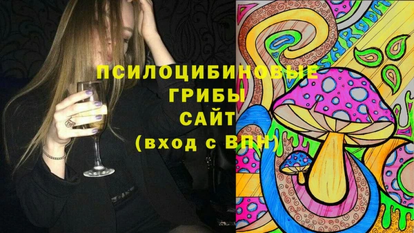 прущая мука Армянск