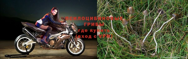 кокаин Балабаново