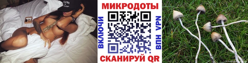 mega зеркало  Уржум  Псилоцибиновые грибы ЛСД 